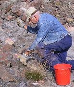 Minerals�k p� Odalf�ltet